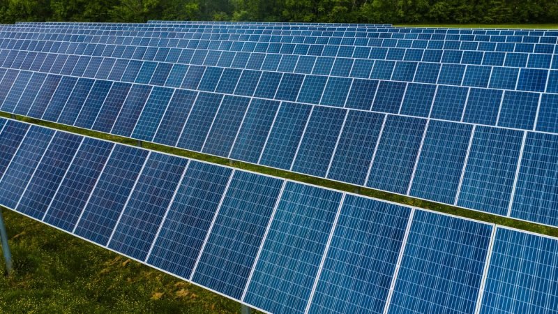 Rows of solar modules on a ground mounted array